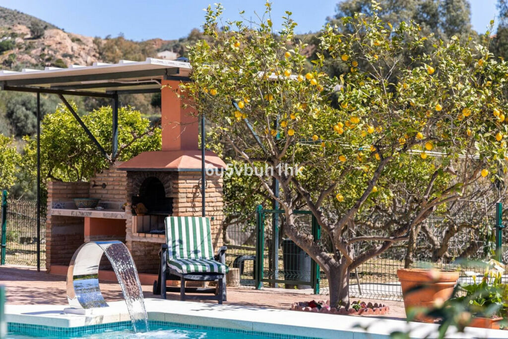 Finca - Cortijo Málaga Málaga - image 2