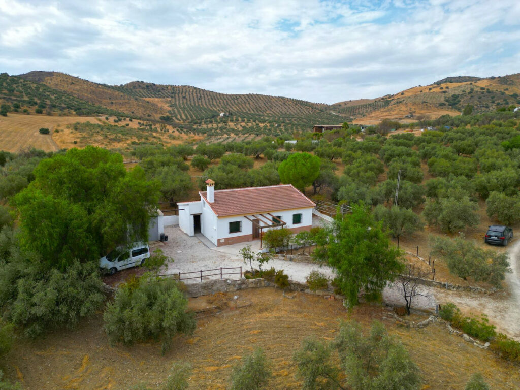 Finca - Cortijo Alora Málaga - image 2