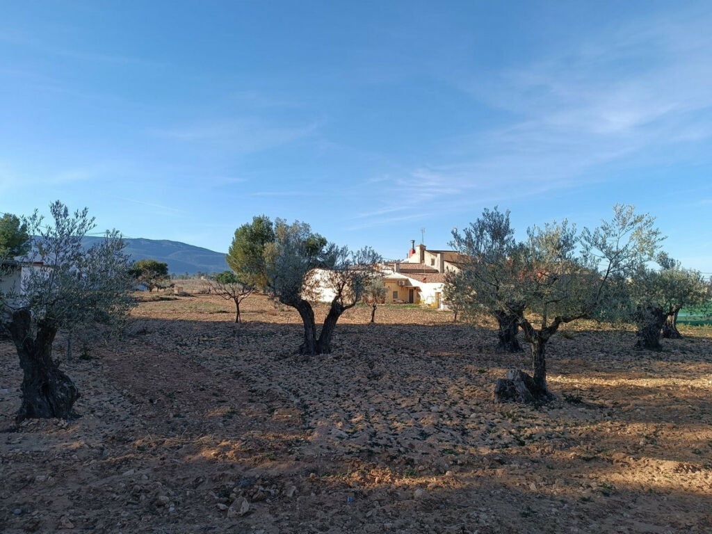 Finca - Cortijo Yecla Murcia - image 2