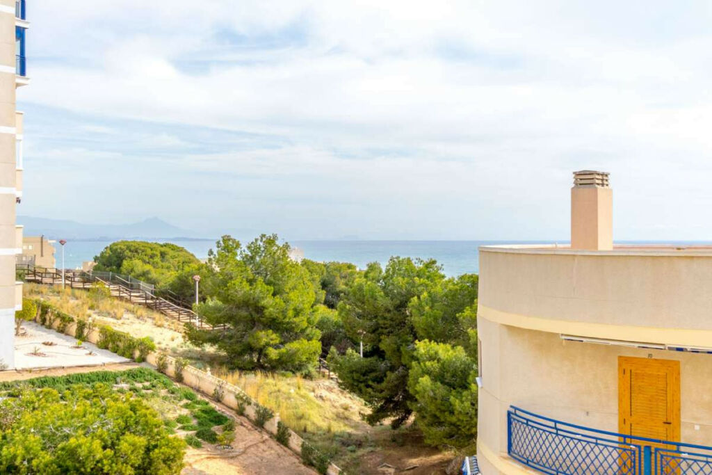 Ground Floor Studio Arenales del Sol Alicante - image 2