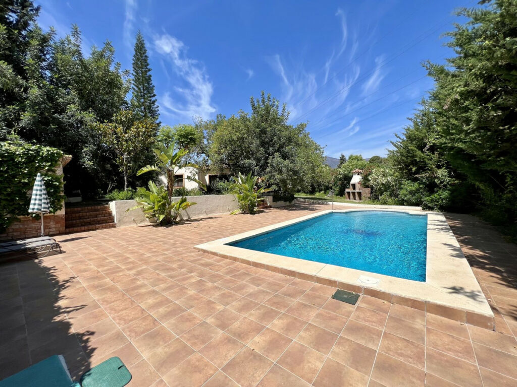Detached Villa Estepona Málaga - image 2
