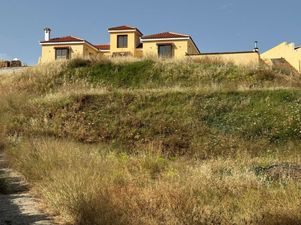 Detached Villa Mijas Costa Málaga - image 2