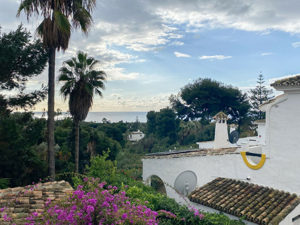 Detached Villa Calahonda Málaga - image 20