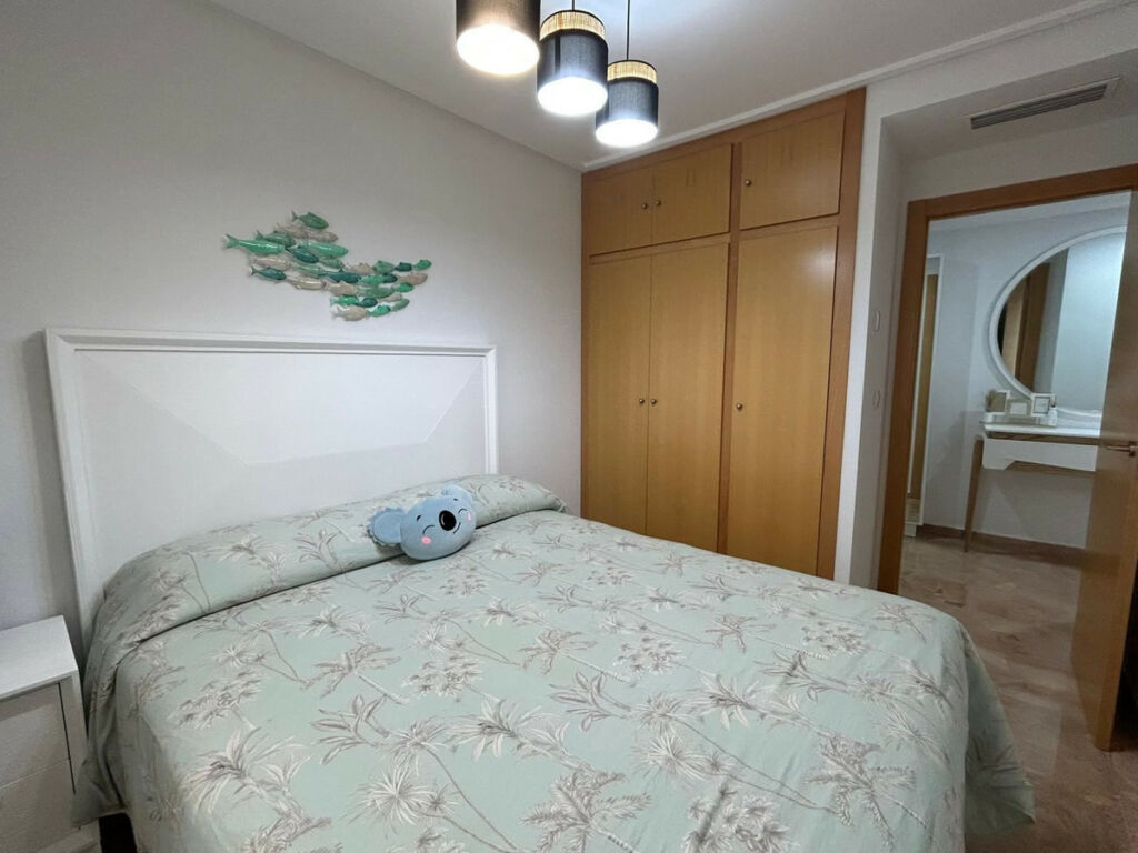 Middle Floor Apartment Alicante City Alicante - image 20