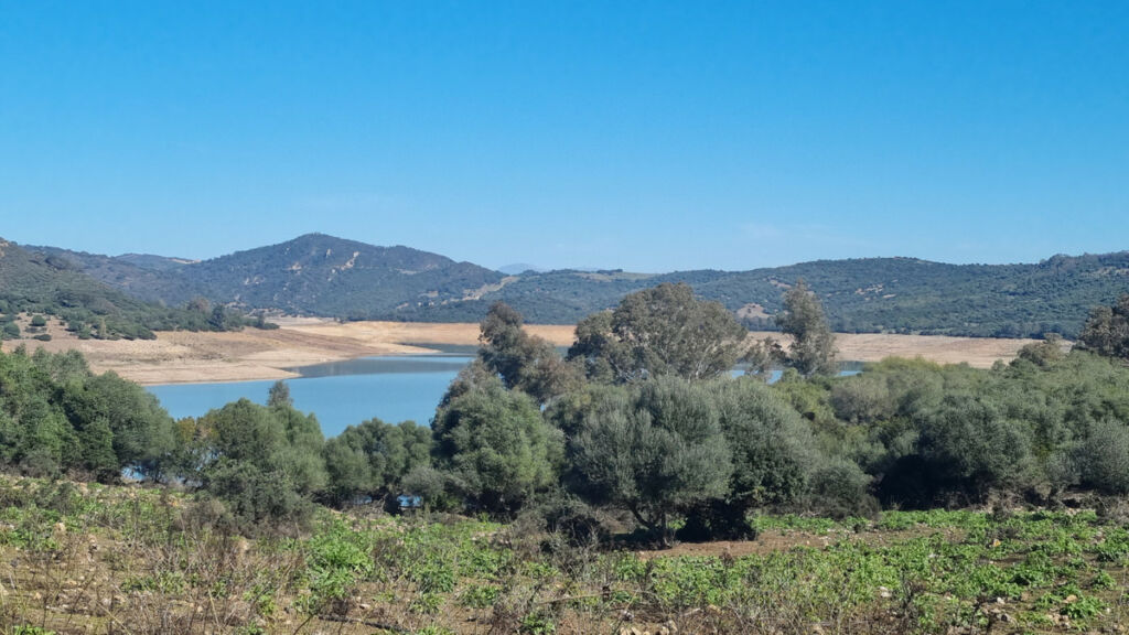 Finca - Cortijo Castellar de la Frontera Cádiz - image 20