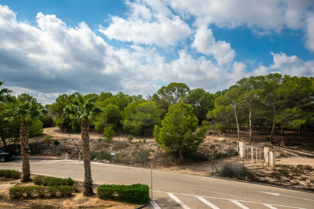 Ground Floor Apartment Lo Crispin Alicante - image 20