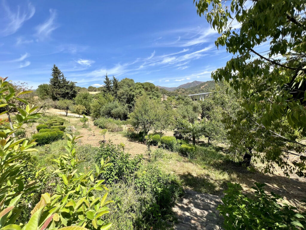 Detached Villa Estepona Málaga - image 20