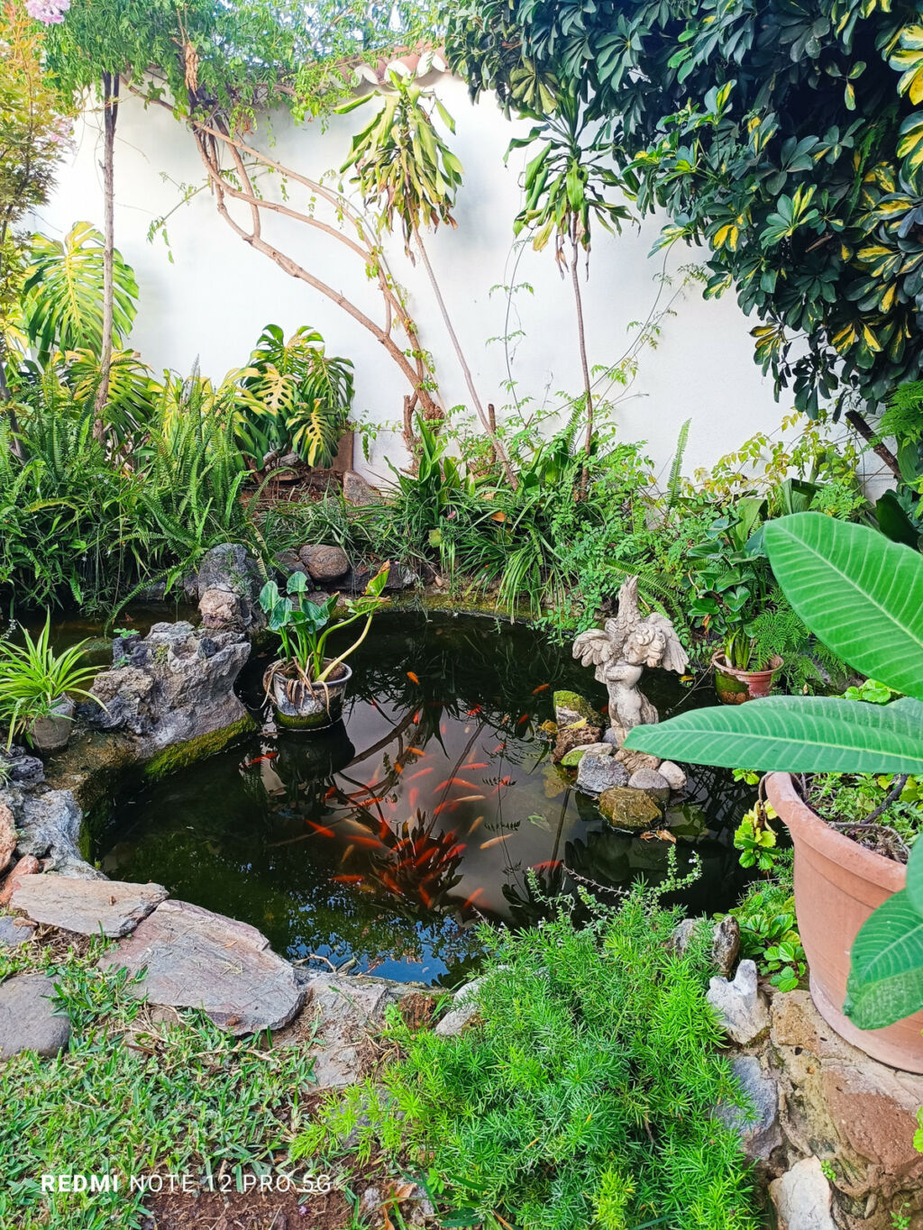 Detached Villa Marbella Málaga - image 19
