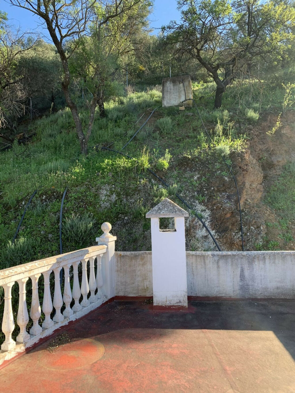 Finca - Cortijo Guaro Málaga - image 20
