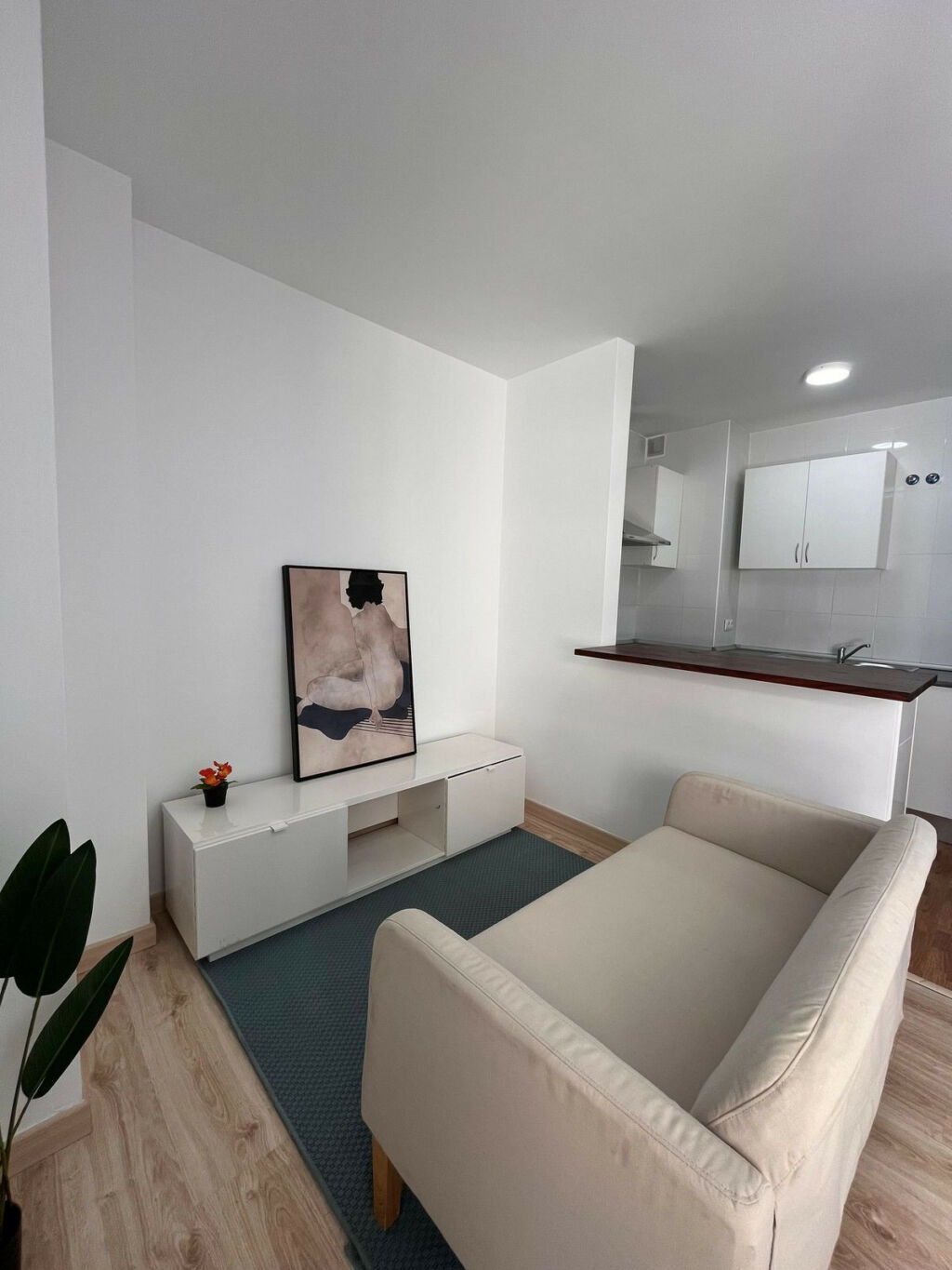 Penthouse Duplex Málaga Málaga - image 20