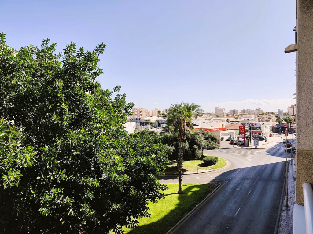 Middle Floor Apartment Torrevieja Alicante - image 21