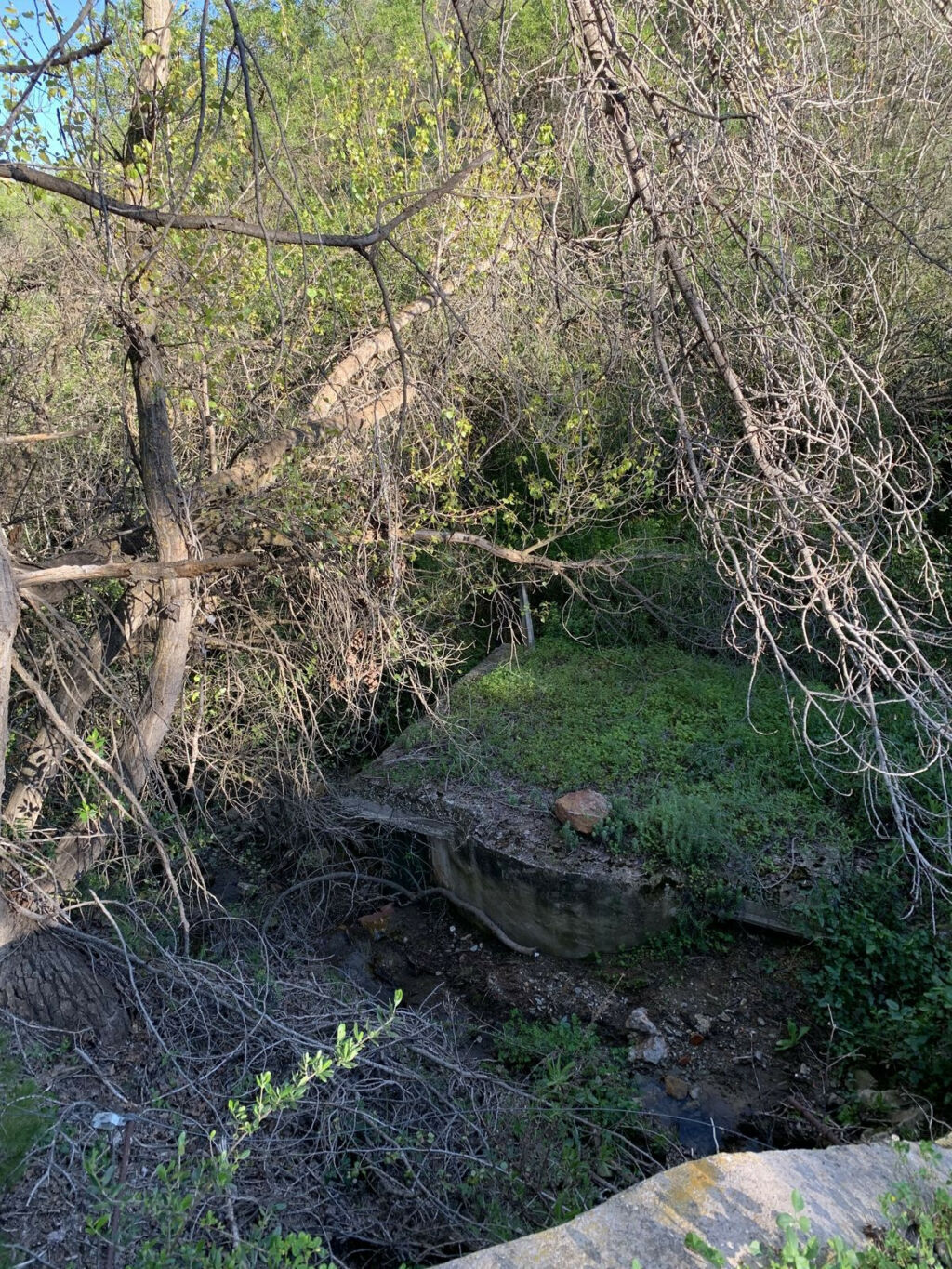 Finca - Cortijo Guaro Málaga - image 21