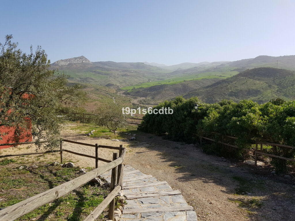 Hotel Valle de Abdalajis Málaga - image 21