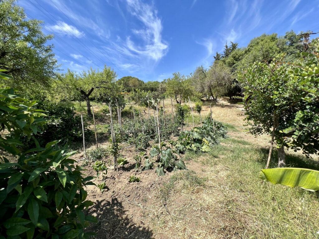 Detached Villa Estepona Málaga - image 21