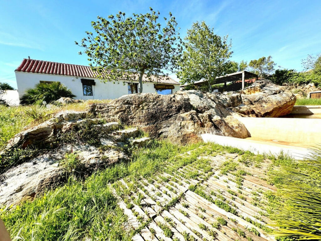 Finca - Cortijo Castellar de la Frontera Cádiz - image 22
