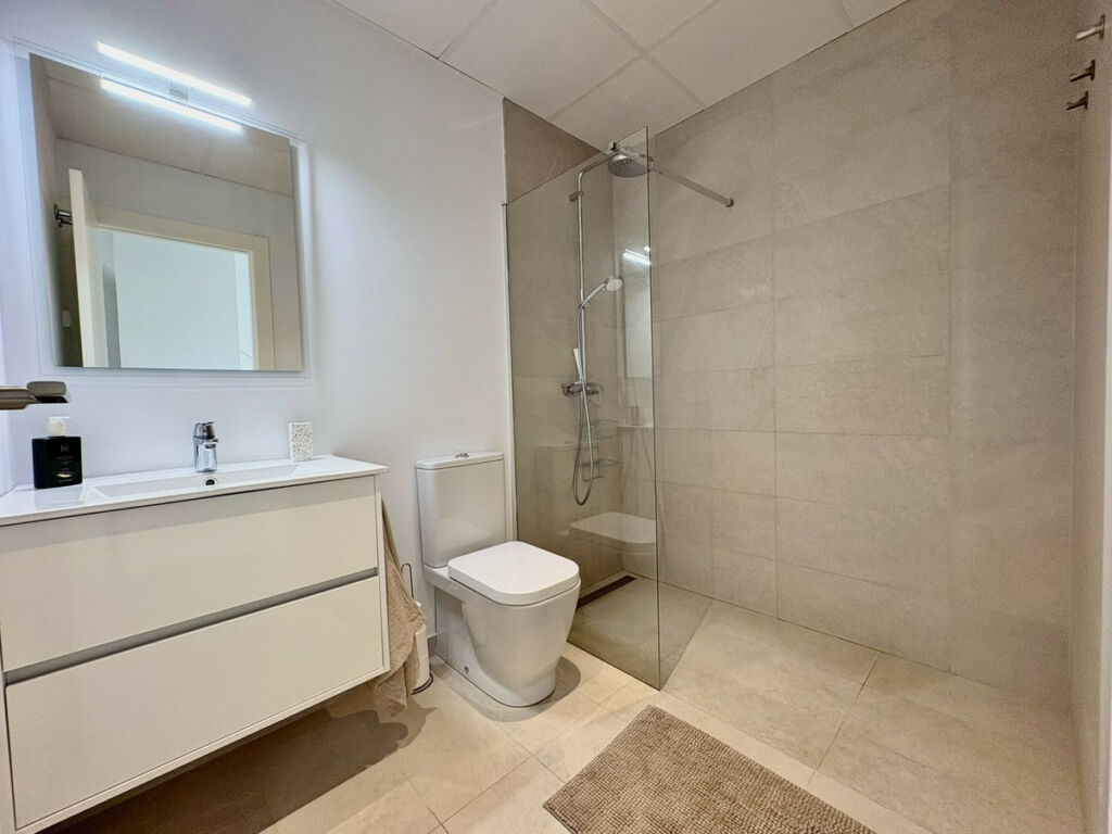Penthouse Duplex Torre de la Horadada Alicante - image 22