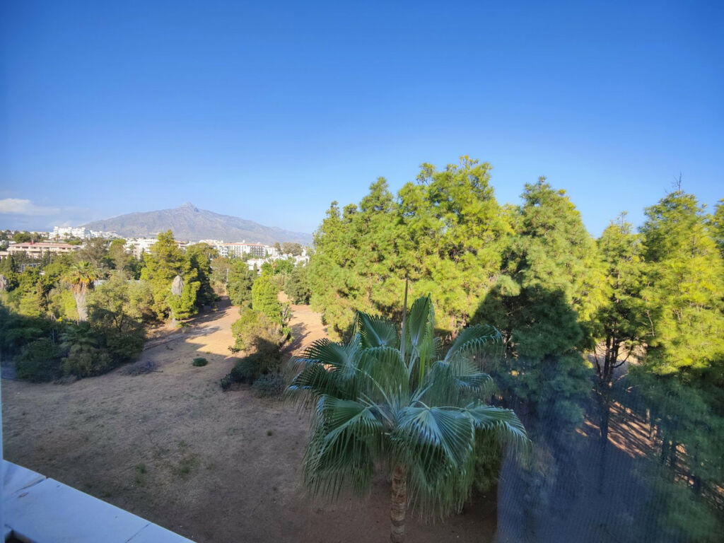 Middle Floor Apartment Marbella Málaga - image 22