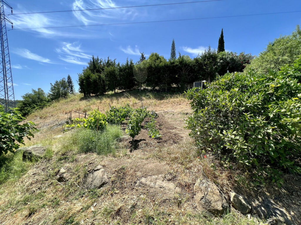 Detached Villa Estepona Málaga - image 22
