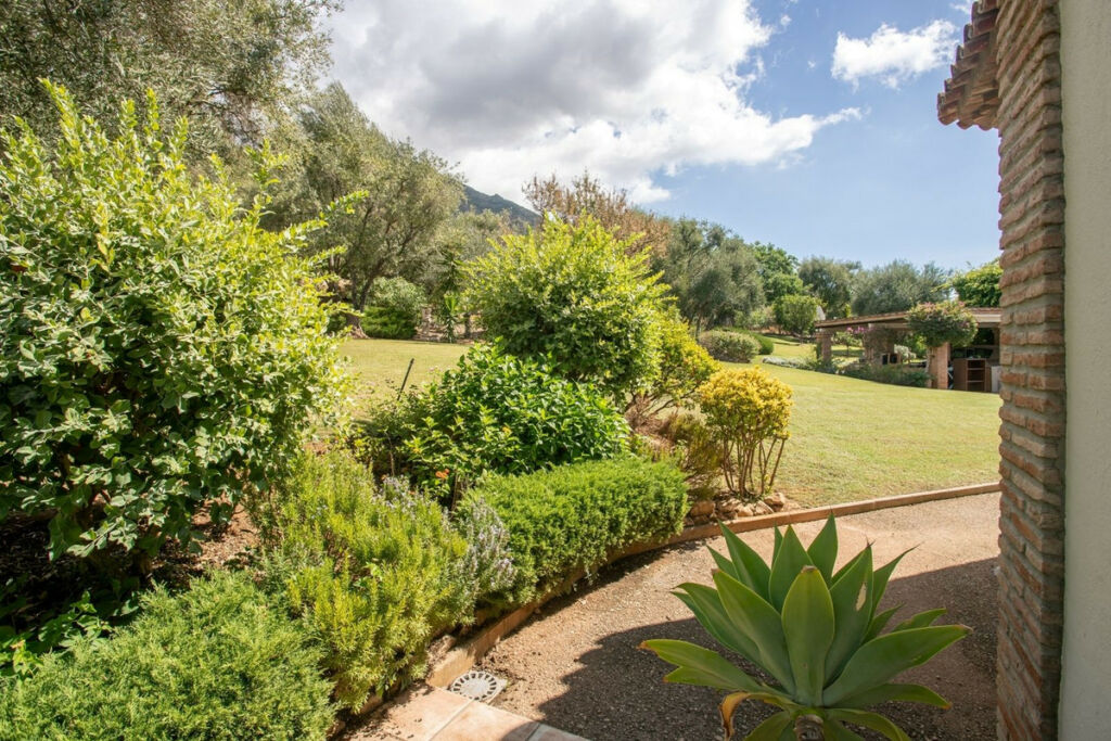 Detached Villa Istán Málaga - image 22