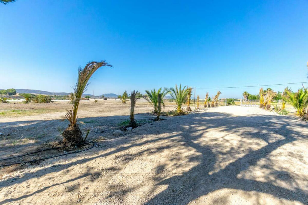 Detached Villa Orihuela Alicante - image 23
