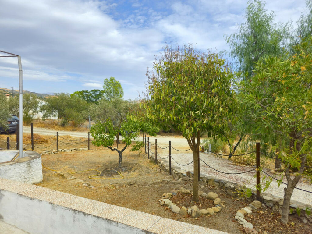 Finca - Cortijo Alora Málaga - image 23