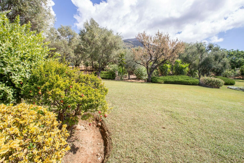 Detached Villa Istán Málaga - image 23