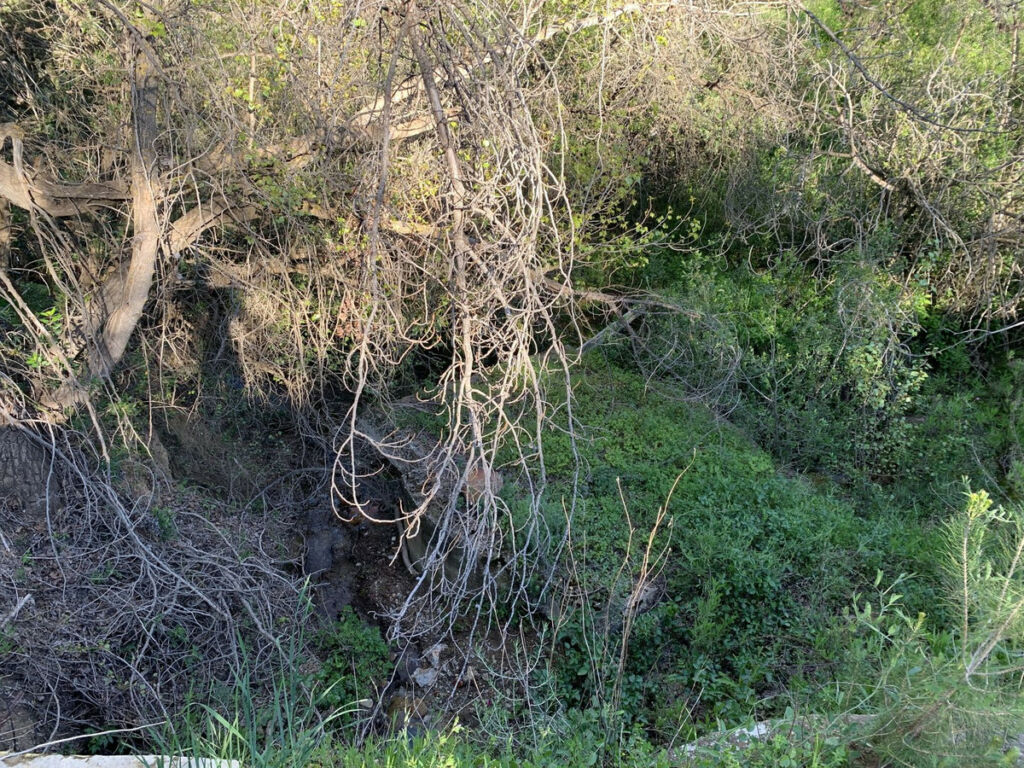 Finca - Cortijo Guaro Málaga - image 23