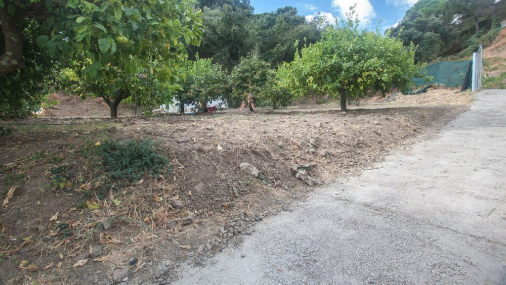 Finca - Cortijo Estepona Málaga - image 24