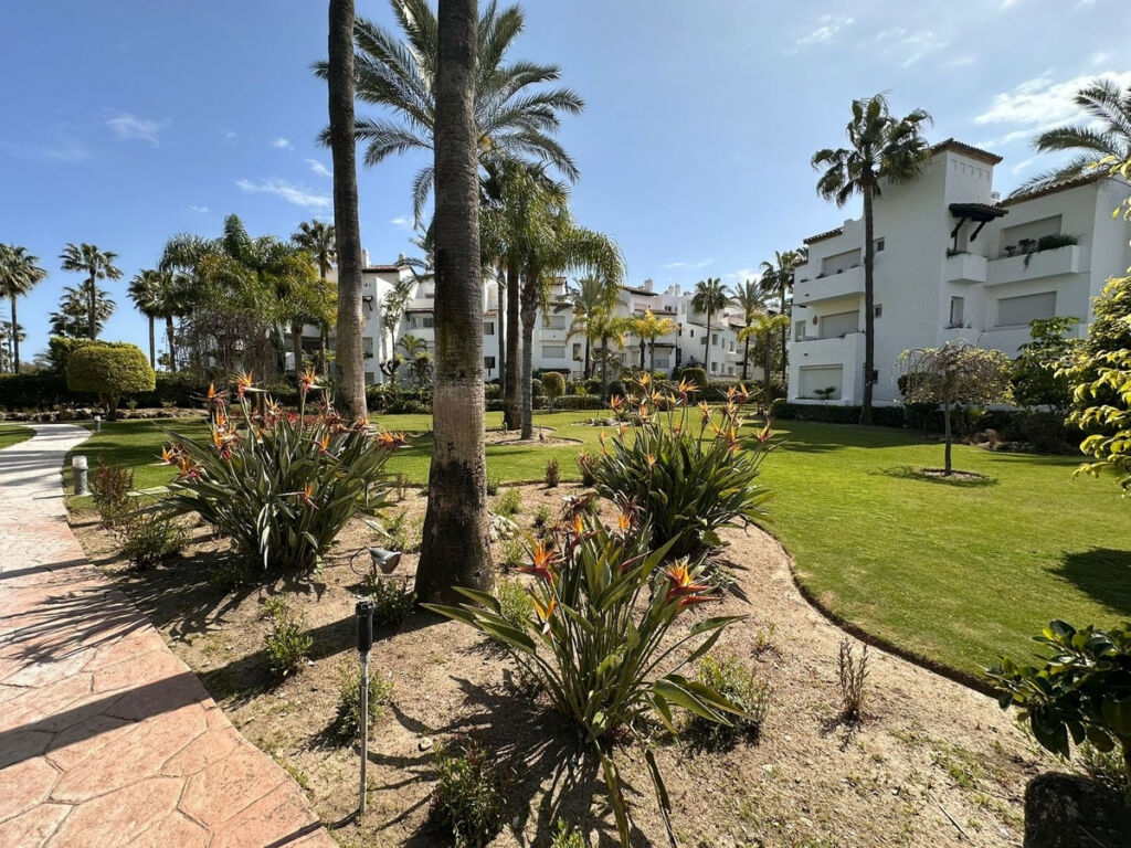 Ground Floor Apartment Costalita Málaga - image 15