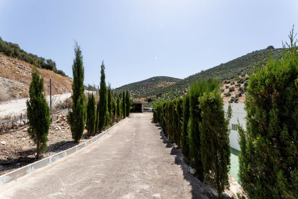 Finca - Cortijo Cuevas De San Marcos Málaga - image 25