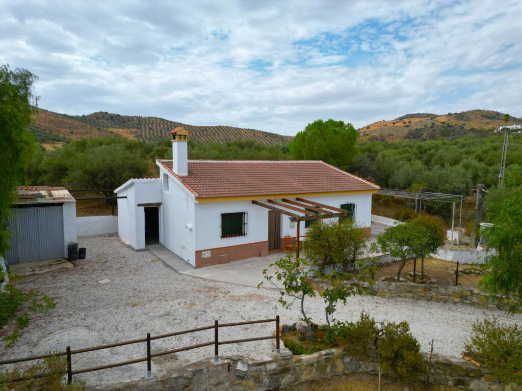 Finca - Cortijo Alora Málaga - image 25
