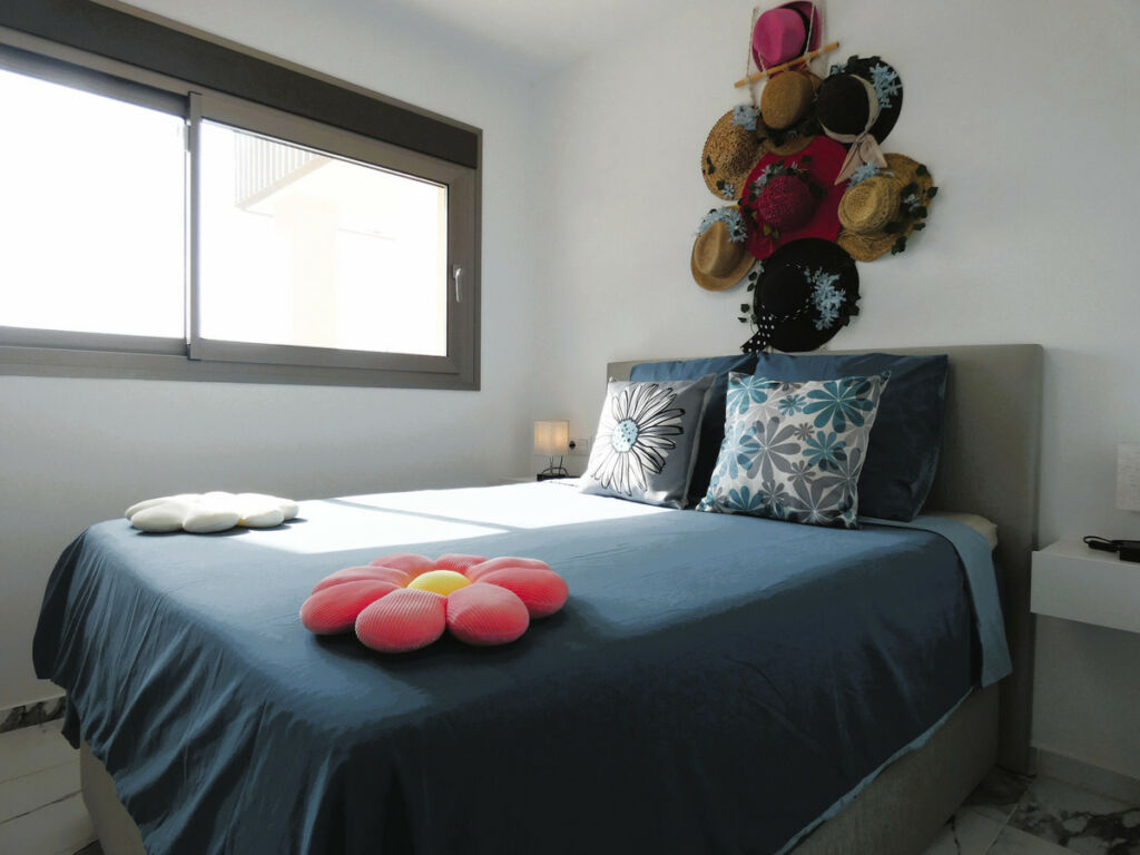 Middle Floor Apartment Los Dolses Alicante - image 25