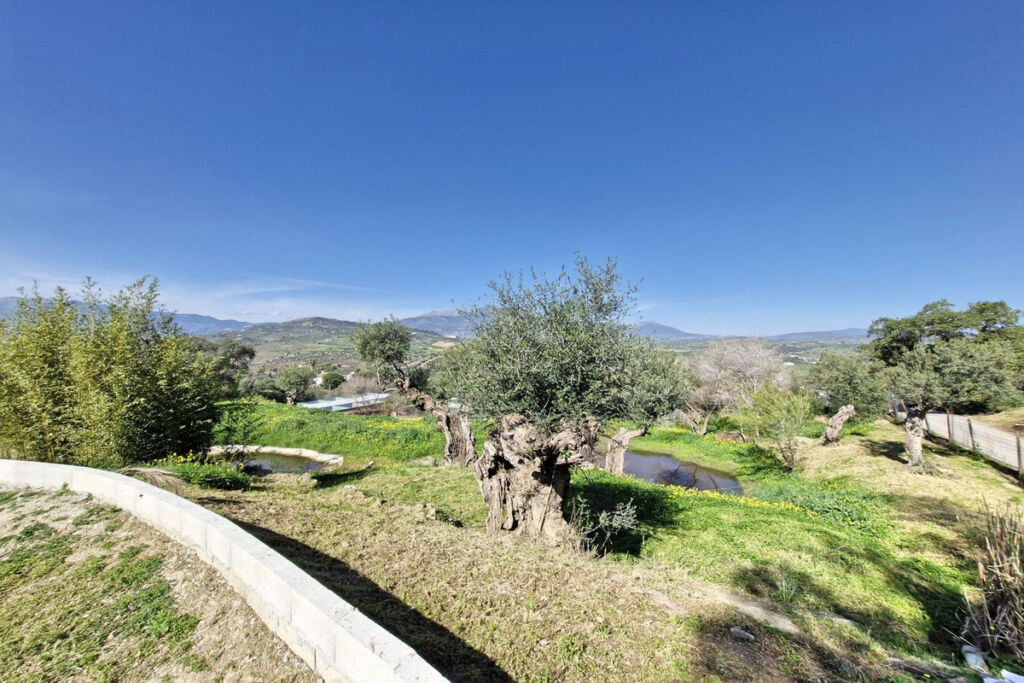 Finca - Cortijo Coín Málaga - image 25