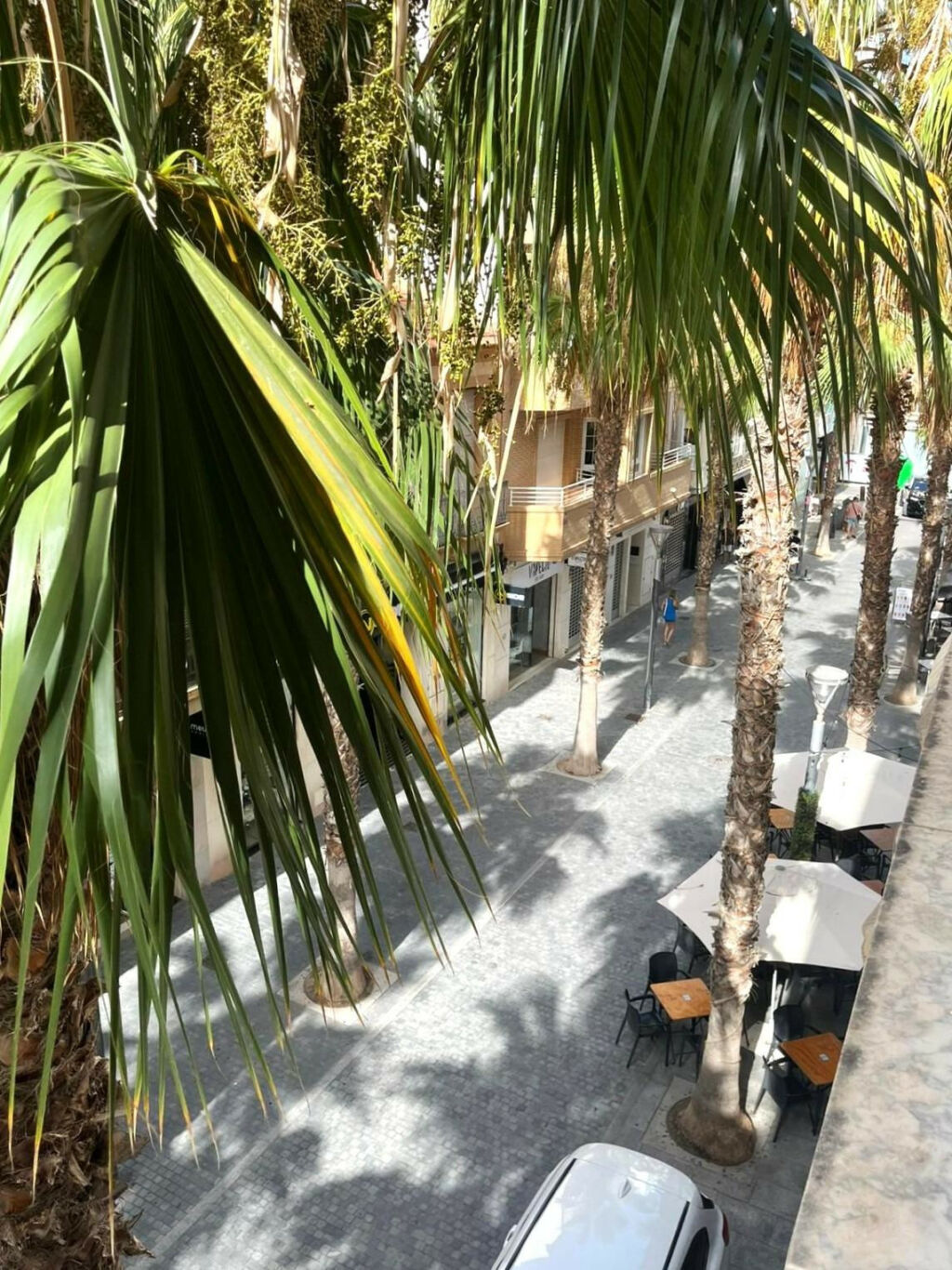 Middle Floor Apartment Torrevieja Alicante - image 25