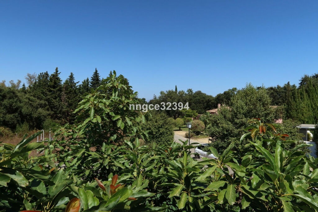 Detached Villa Sotogrande Cádiz - image 25