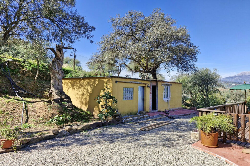Finca - Cortijo Coín Málaga - image 26