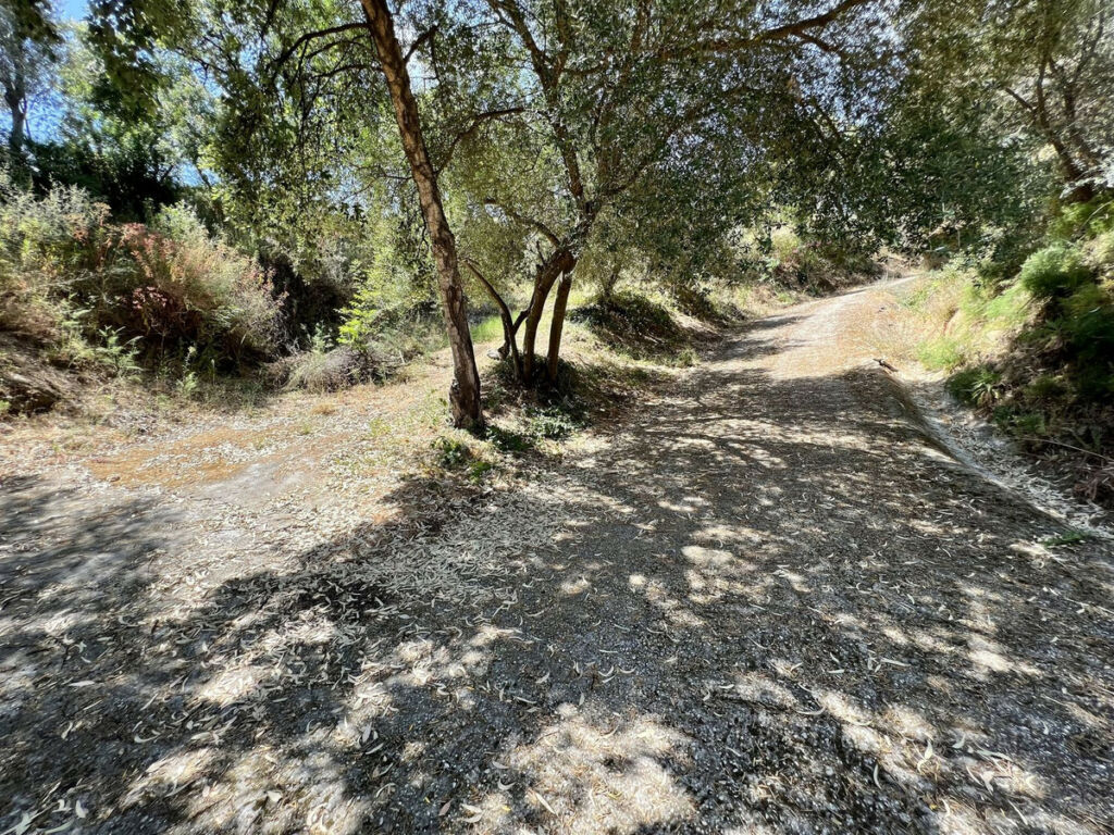 Detached Villa Estepona Málaga - image 26