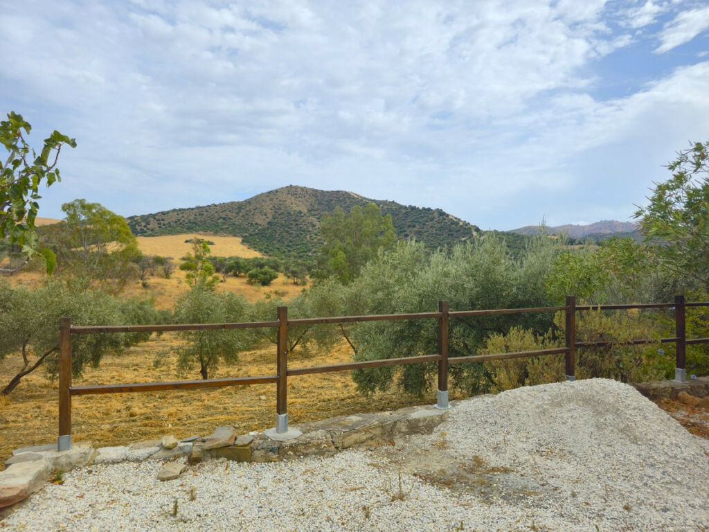 Finca - Cortijo Alora Málaga - image 26