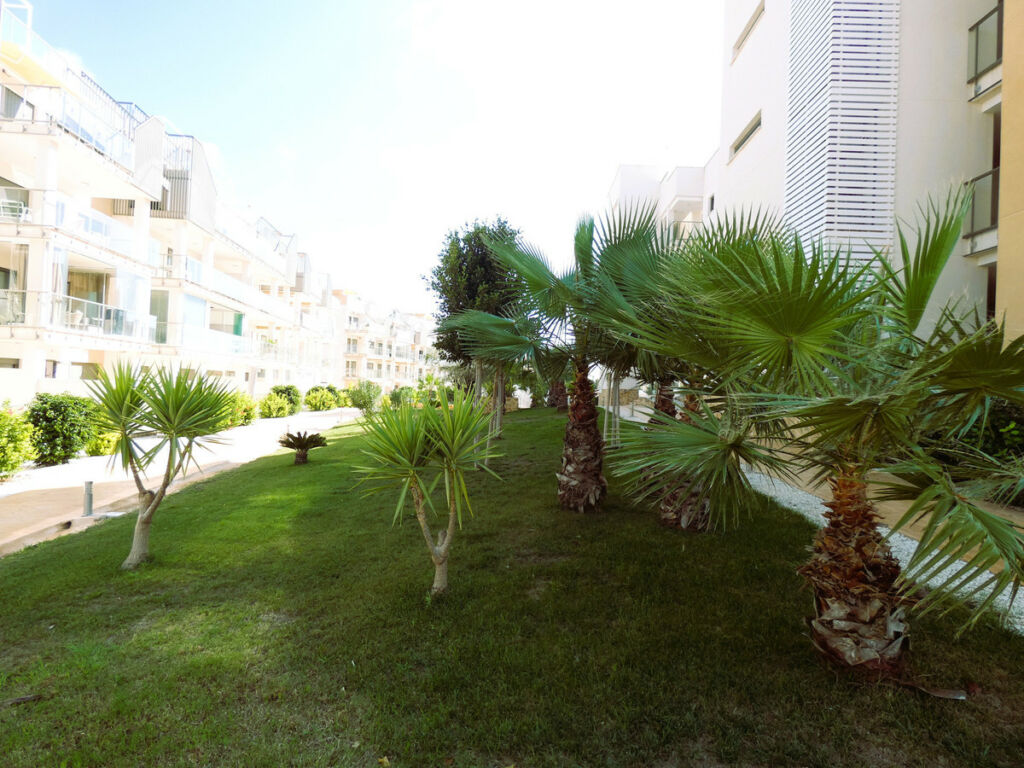 Middle Floor Apartment Los Dolses Alicante - image 27