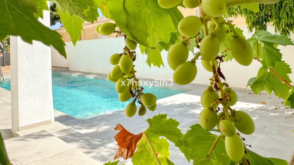 Detached Villa Los Balcones Alicante - image 27