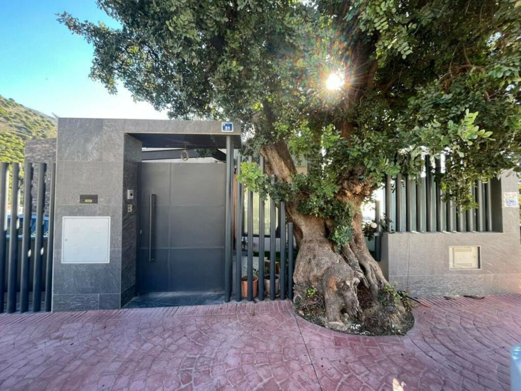 Detached Villa Mijas Málaga - image 25
