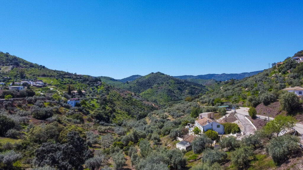 Finca - Cortijo Comares Málaga - image 28