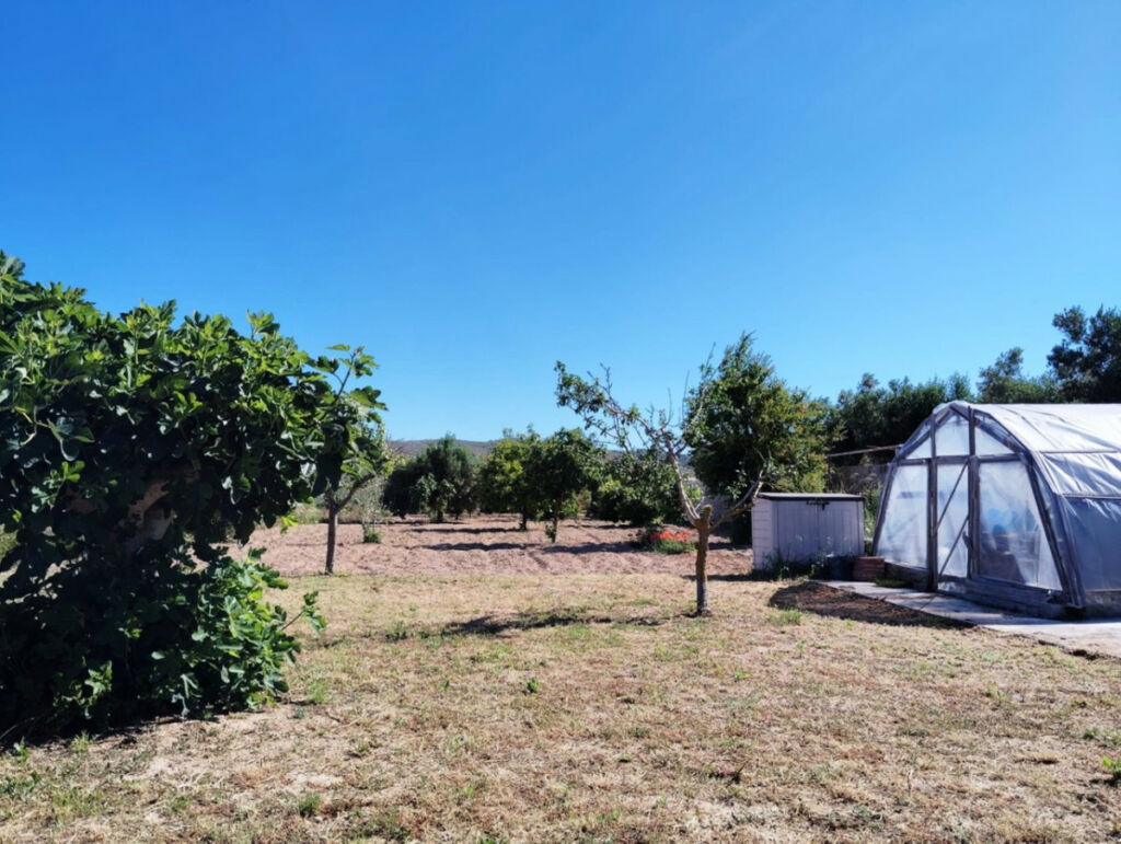 Finca - Cortijo Teulada Alicante - image 28