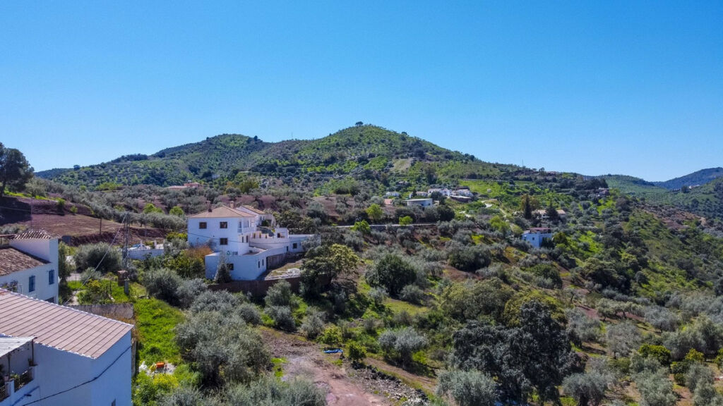 Finca - Cortijo Comares Málaga - image 29