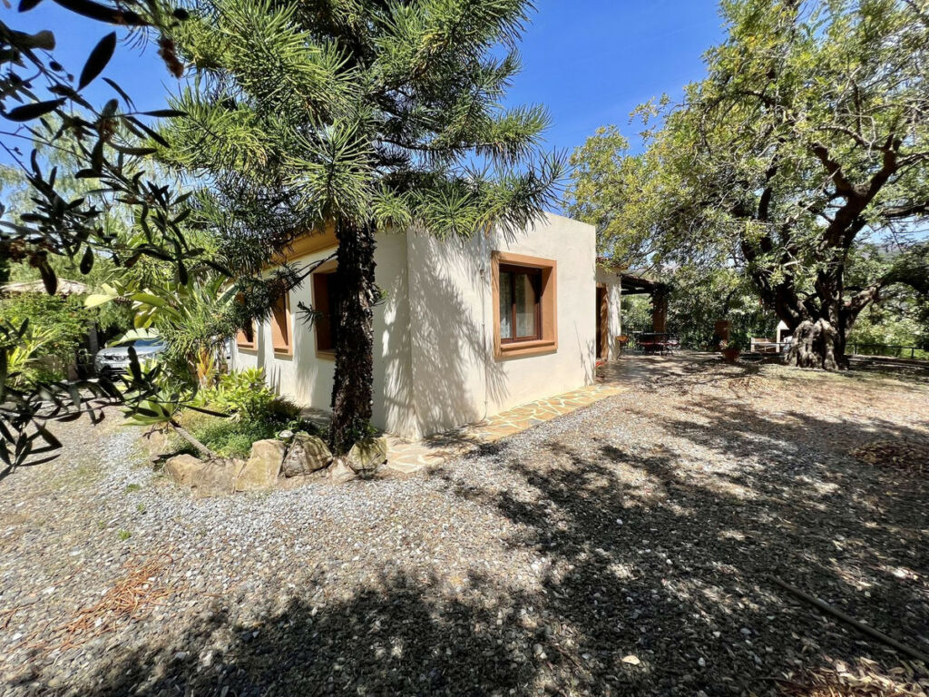 Detached Villa Estepona Málaga - image 29