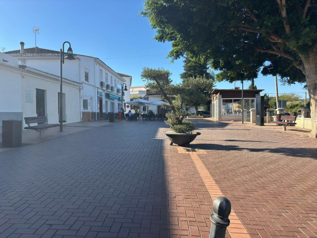 Detached Villa Casares Málaga - image 29