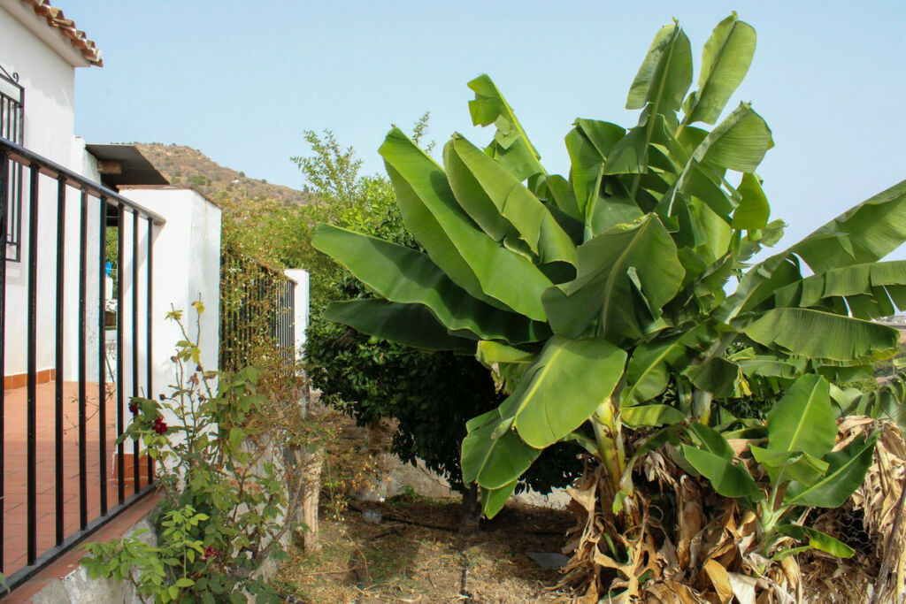 Detached Villa Nerja Málaga - image 29