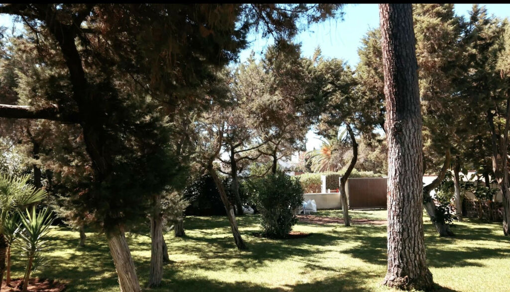 Residential Plot Marbesa Málaga - image 3
