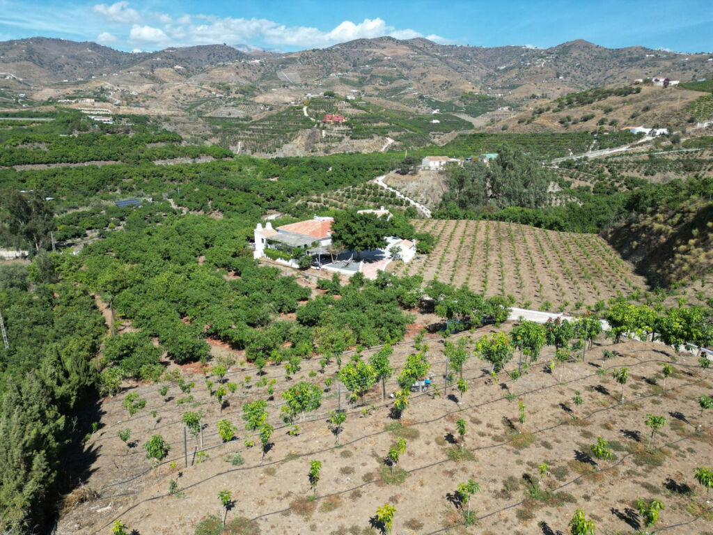 Finca - Cortijo Vélez-Málaga Málaga - image 3