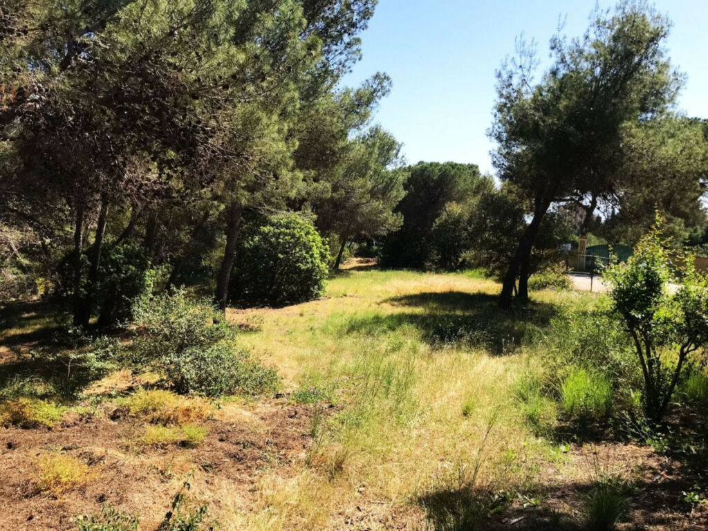 Residential Plot Hacienda Las Chapas Málaga - image 3